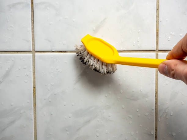 Mold Testing and Removal in Stuttgart, AR